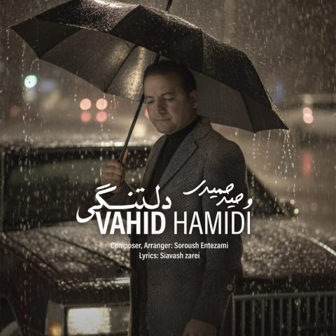 دانلود آهنگ وحید حمیدی دلتنگی